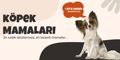 Köpek Mamaları