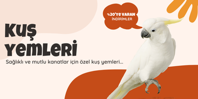 Kuş Yemleri