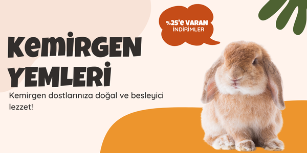 Kemirgen Yemleri