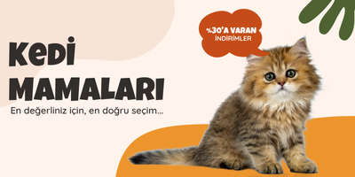 Kedi Mamaları