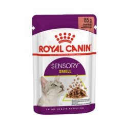 Royal Canin Sensory Smell Gravy Kedi Yaş Maması 85 Gr