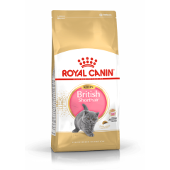 Royal Canin British Shorthair Kitten Yavru Kedi Maması 2 kg