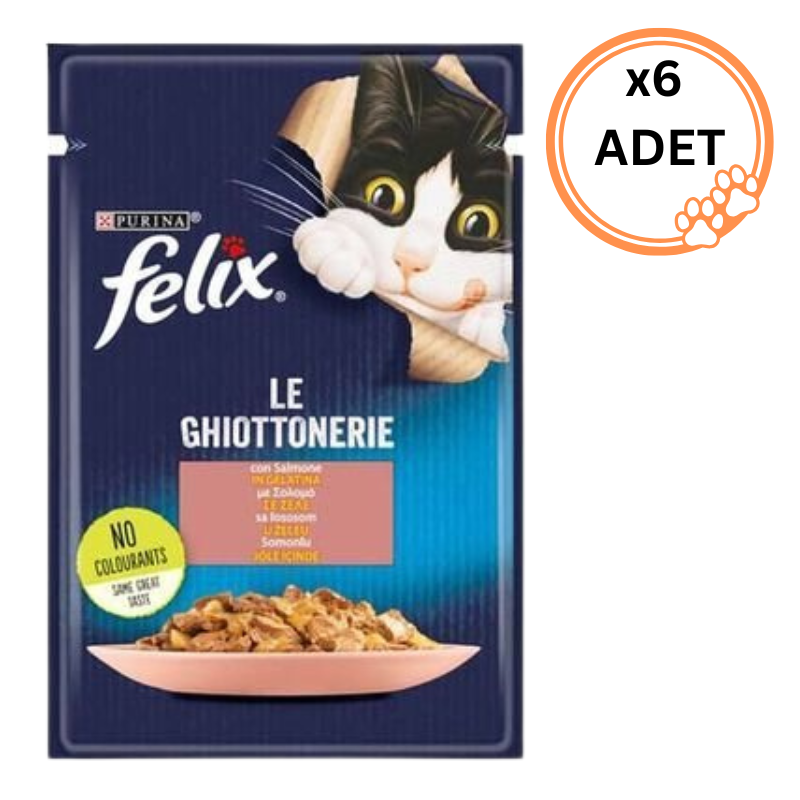 6 ADET Felix Somonlu Pouch 85 gr x6