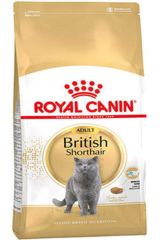 Royal Canin British Shorthair Adult Yetişkin Kedi Maması 4 kg