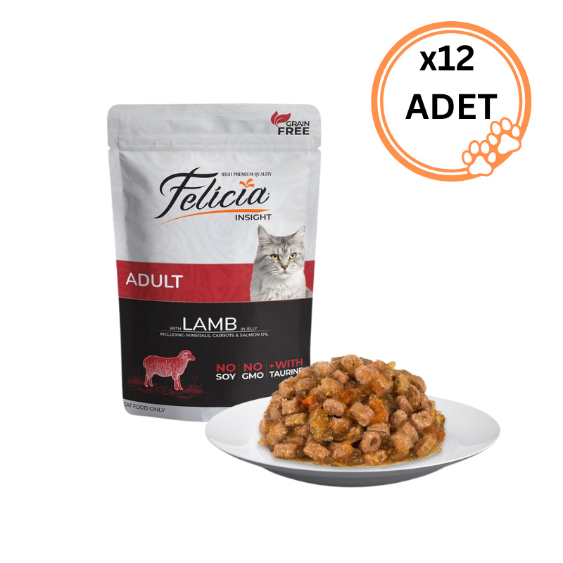 12 ADET Felicia Tahılsız Pouch Yetişkin Kuzu Etli Yaş Kedi Maması 85 gr x12